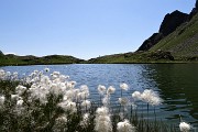 PONTERANICA CENTRALE (2372 m) in solitaria dai Piani dell'Avaro per i Laghetti di Ponteranica il 31 luglio 2017 - FOTOGALLERY